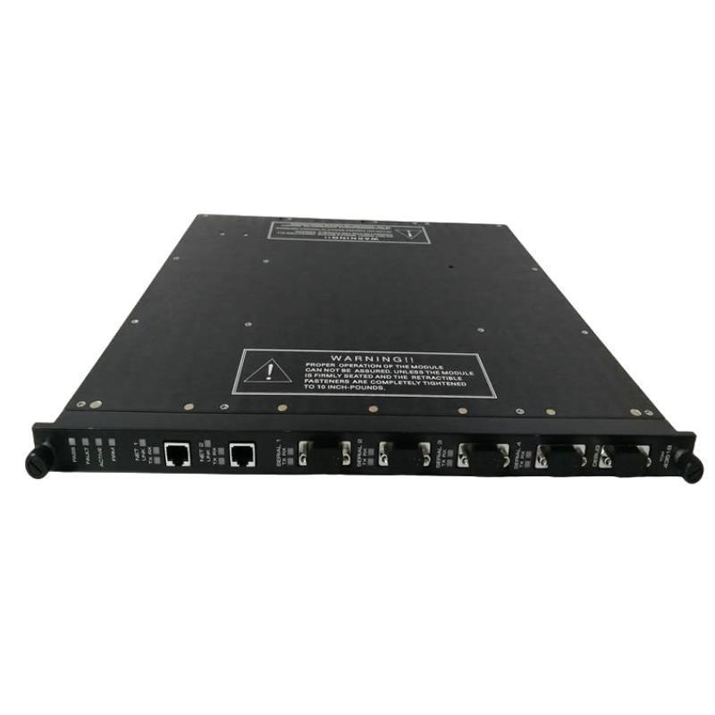 Triconex 3000250-010 External T