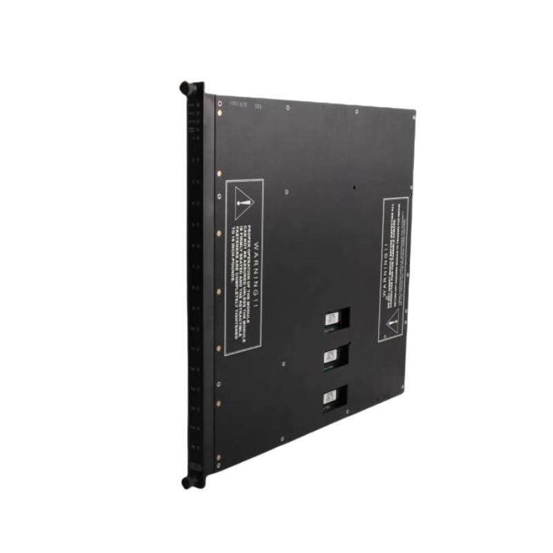 Invensys Triconex 3006 Main Processo