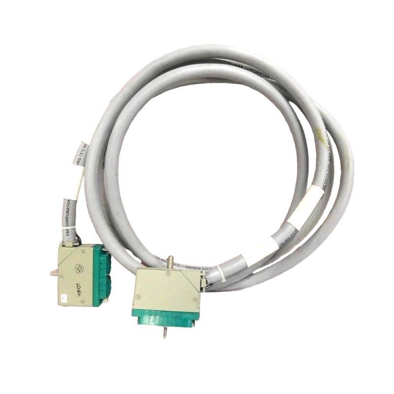 Triconex 4000103-510 Cable Asse