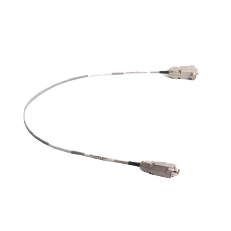 Triconex 4000212-002 Extension 