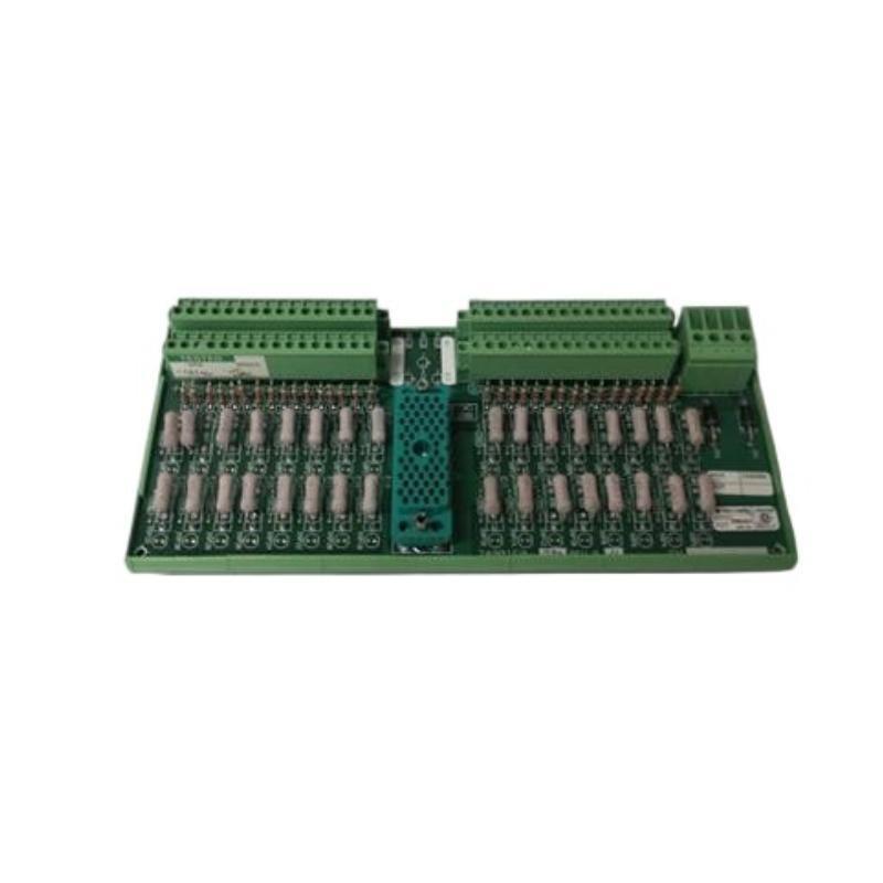 Triconex 9566-810 Terminal Pane