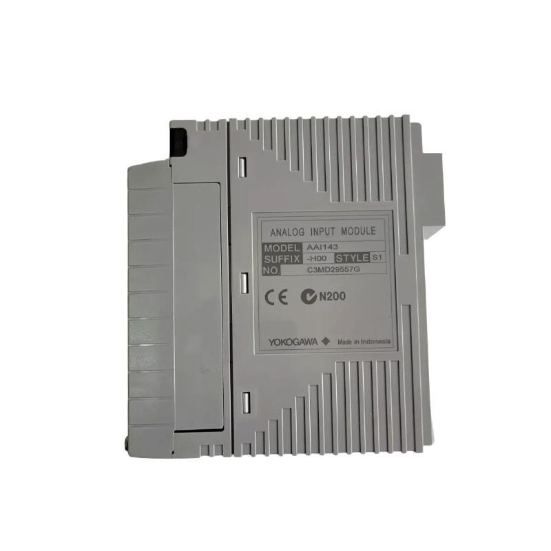 Yokogawa AAI143-H00 S1 Analog I