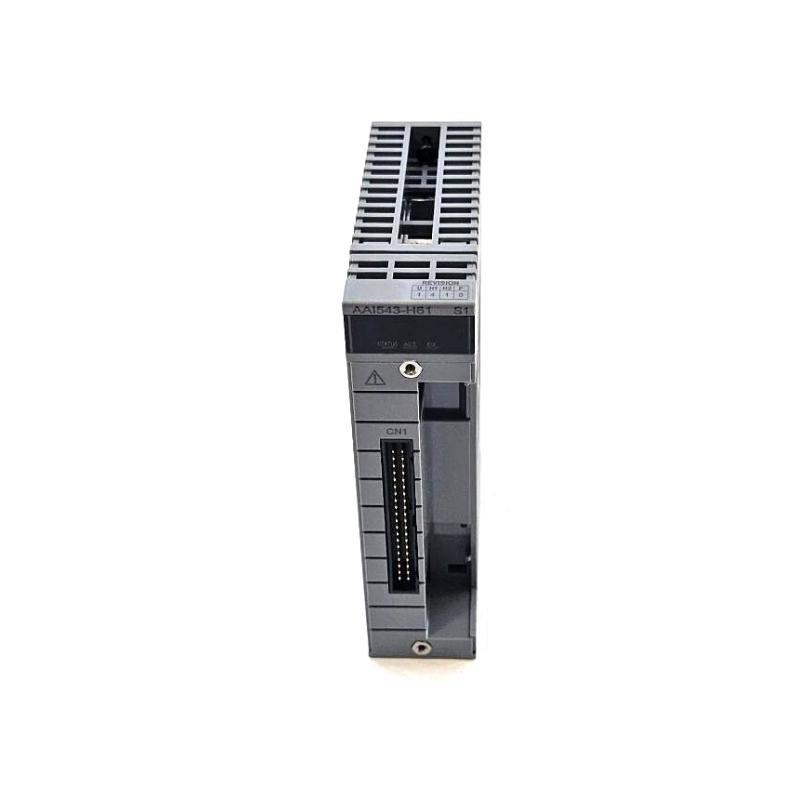 Yokogawa AAI543-H61/K4A00 Analo
