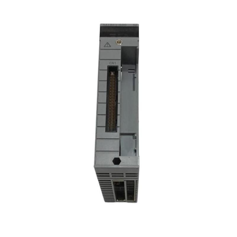 Yokogawa AAI841-S00/K4A00 Analo