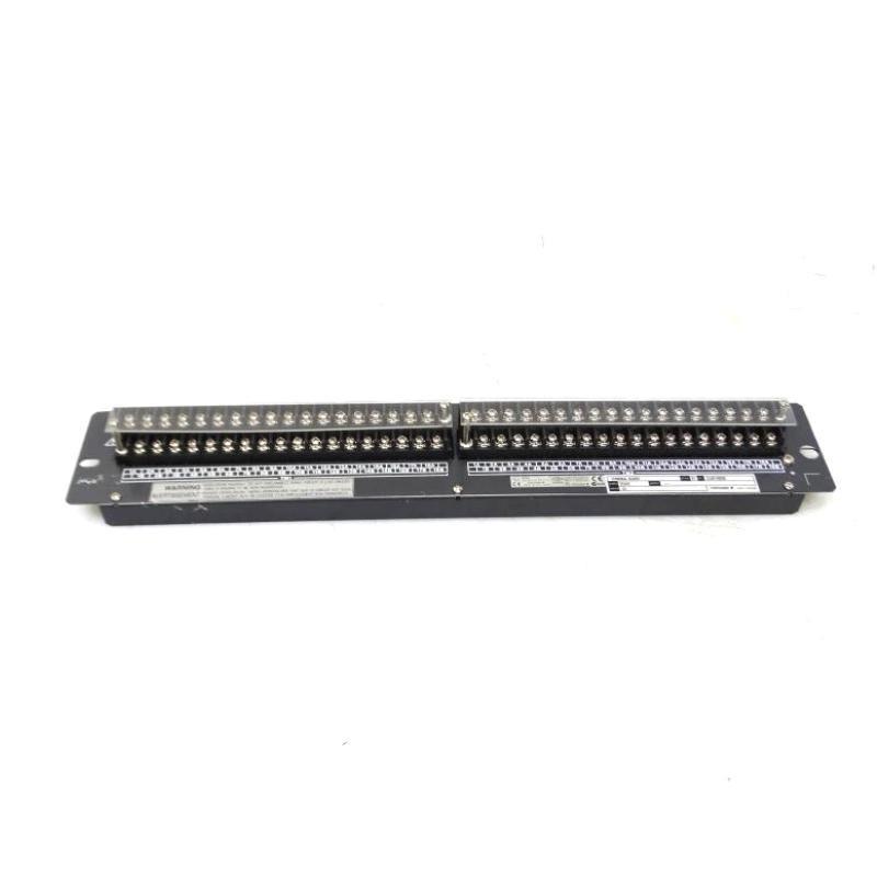 Yokogawa SEA4D-01 Analog termin