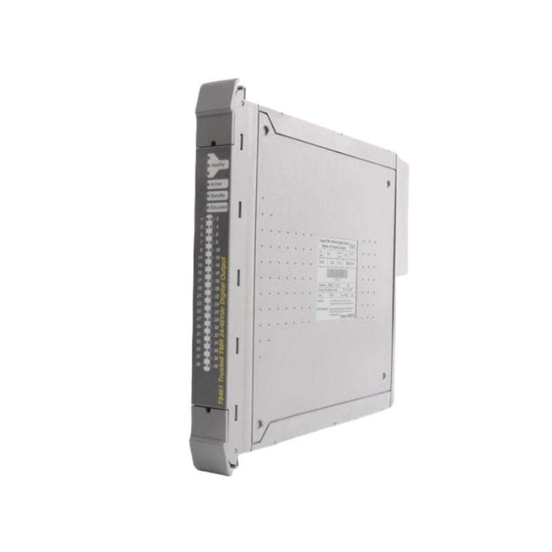 ICS Triplex T8310 Expander Processor