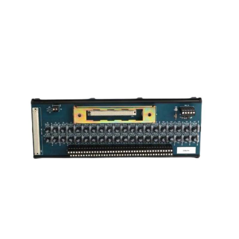 ICS Triplex T8830 Analog Input Modul