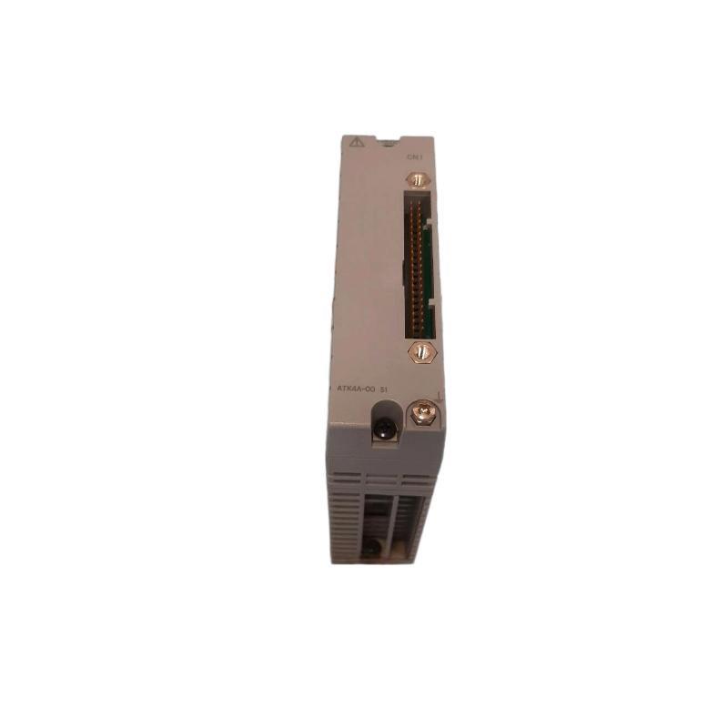 Yokogawa AAI141-S50/K4A00 Analo