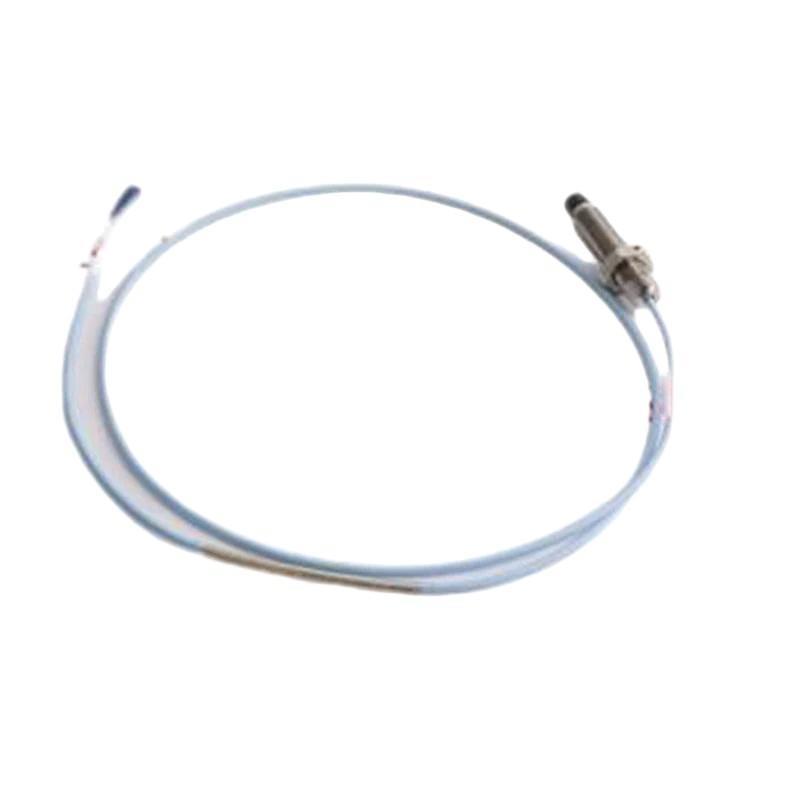 Bently Nevada 330703-00-060-10-