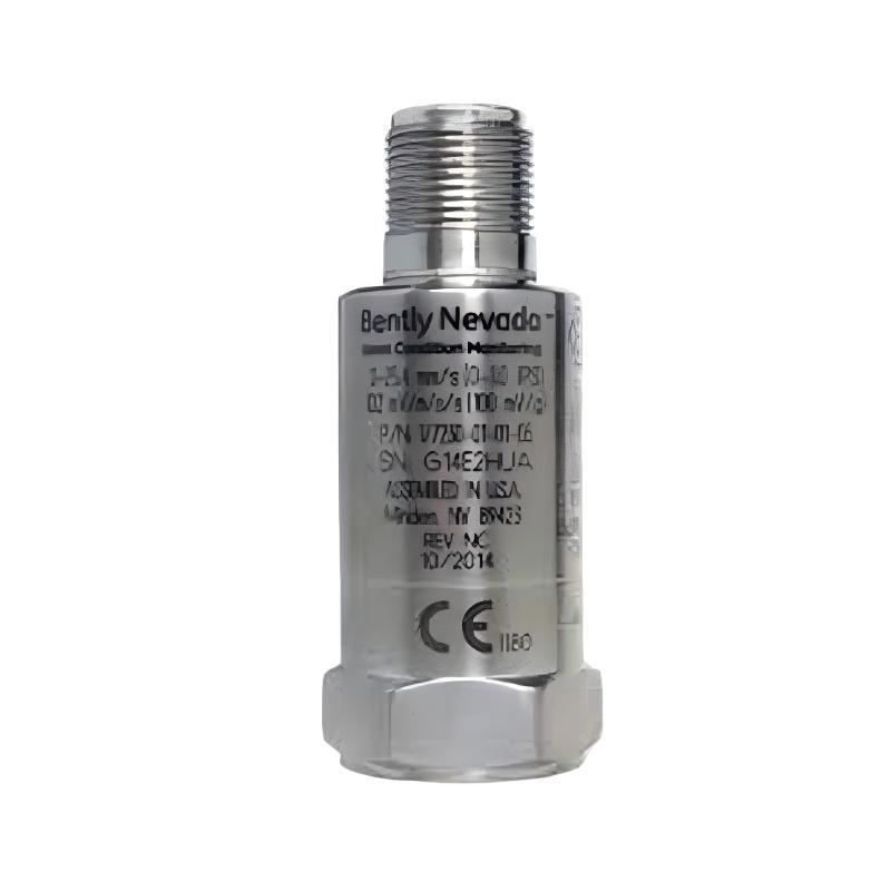Bently Nevada 37439-01 Mounting