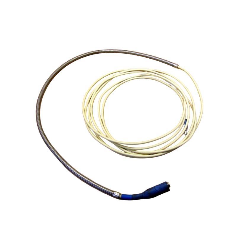 Bently Nevada 47055-01 Extensio