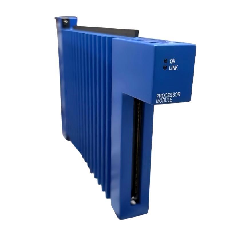 Bently Nevada 60R/PPM01 Protect