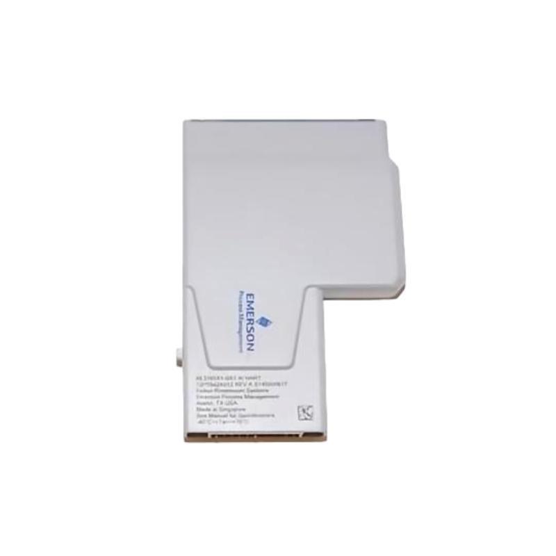 Emerson KL3101X1-BA1 Analog Inp