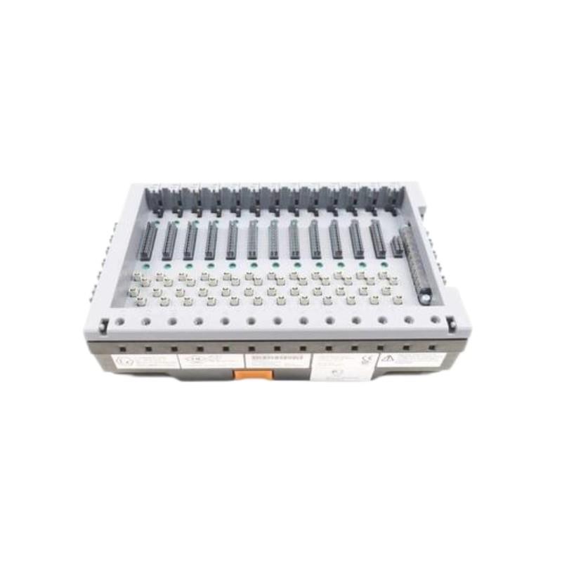 Emerson SE4601T07 KL4201X1-BA1