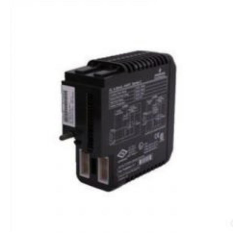 Emerson VE4002S1T2B4 DeltaV Dis