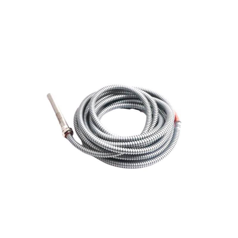 Epro PR9376/20 Speed/Proximity