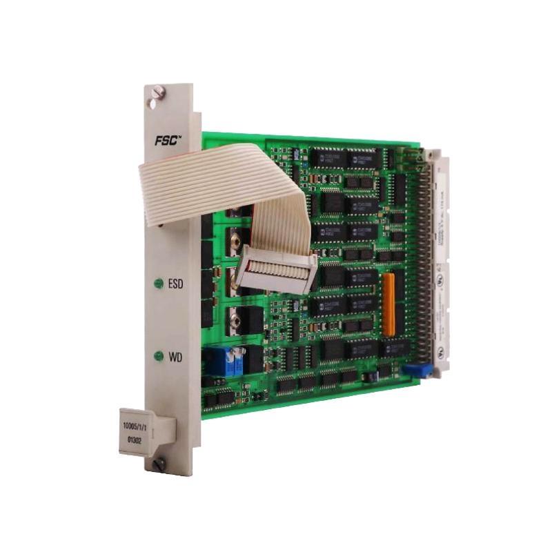 Honeywell 10005/1/1 Watch Dog Module
